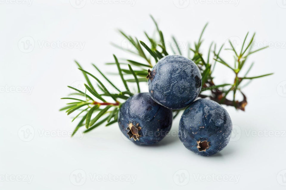 Pujahaat Juniper Berry Essential Oil |Therapeutic,Organic & Natural | Home Fragrance, Diffusers, Skin Care, Aromatherapy, Bath, Massage, Hair Care, Soap and Candle making - Vegan & Cruelty free - 15 ml