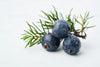 Pujahaat Juniper Berry Essential Oil |Therapeutic,Organic & Natural | Home Fragrance, Diffusers, Skin Care, Aromatherapy, Bath, Massage, Hair Care, Soap and Candle making - Vegan & Cruelty free - 15 ml
