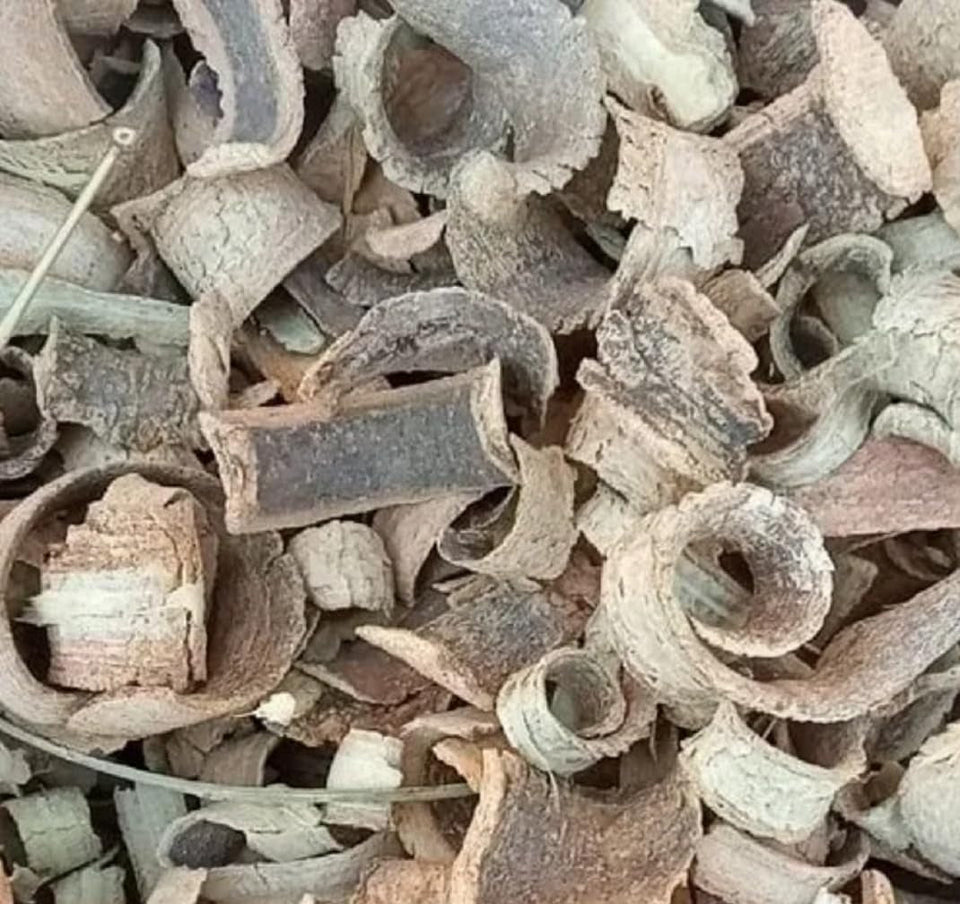 Kunjika Jadibooti Kuda Chhal - Kutaj Chal - Kutaja Chhal - Kuda Ki Chhal - Holarrhena Pubescens Bark 100 gm