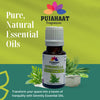 Pujahaat Citronella Essential Oil - Natural Citronella Oil For Aroma Therapy, Skin Care, Hair Treatment, Mosquito Repellent, Relaxation, And Wellness - Pure Essential Oil - Vegan & Cruelty free - 15 ml