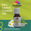 Pujahaat Roman Chamomile Essential Oil - Awesome for Stress Reduction and Sleep - Natural Moisturizer for Sensitive & Dry Skin - 100% Pure Therapeutic Grade for Aromatherapy - Vegan & Cruelty free - 15 ml