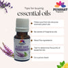 Pujahaat Clary Sage Essential Oil (Salvia sclarea) Pure | Non-Sticky | Non-greasy | Lightweight | Men & Women | All Skin Types | Steam Distilled Therapeutic-Grade - 15 ml