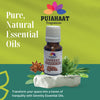Pujahaat Aniseed Essential Oil (Pimpinella anisum) Pure | Non-Sticky | Plant-Based Skincare & Haircare Solution | Men & Women | All Skin Types | Steam Distilled Therapeutic-Grade - 15 ml