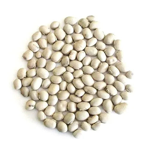Kunjika Jadibooti White Kaunch beej, Konch Seed, Safed Koch ke beej, Alkushi, Kauch, Mucuna Pruriens, Velvet Beans, Kapikachhu, Cowitch, Cowhage (100 Grams)