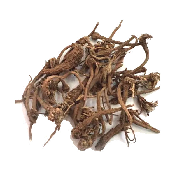 Kunjika Jadibooti Akarkara Indian | Akarkara Asli | Anacyclus Pyrethrum | Pellitory Root (100 Grams)