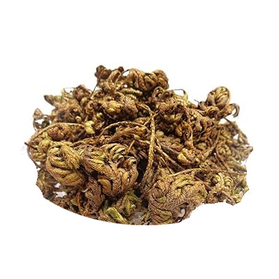Kunjika Jadibooti Laxman Booti - Sanjeevani - Pitta Kalu - Selaginella Bryopteris - Lakshman Buti -100 grams