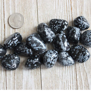 Snowflake Obsidian Tumble Stone Single pc