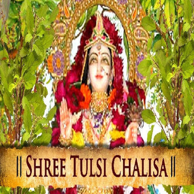 Shree Tulsi Chalisa Book In Hindi Mini Size (Arti Sahit) + Gold Plated Shri Yantra Energized