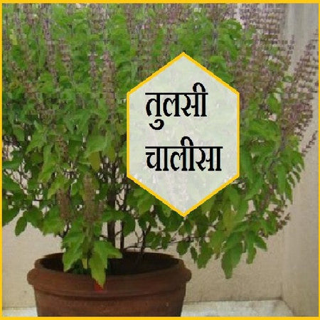 Shree Tulsi Chalisa Book In Hindi Mini Size (Arti Sahit) + Gold Plated Shri Yantra Energized