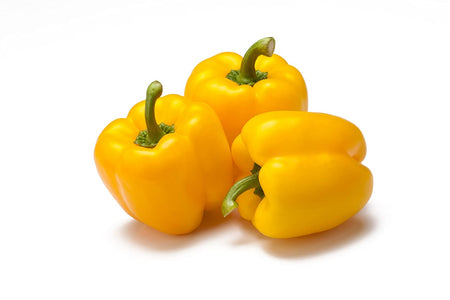 Yellow Capsicum F1 Seeds , Hybrid | Organic Seeds | For Any Pot & Home Garden seeds + Organic Manure + Pot Irrigation Drip system