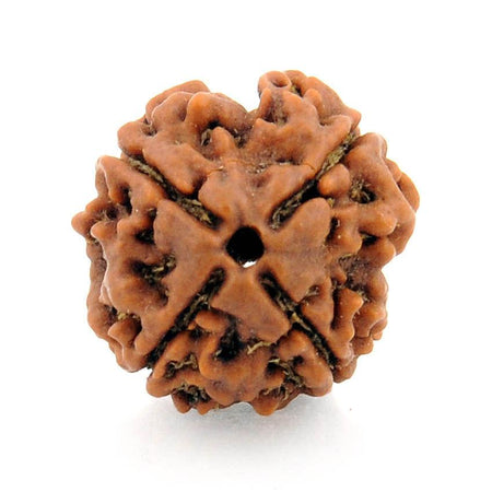 Original Four Faced (Char Mukhi) Natural Rudraksha Bead for Men and Women - halfrate.in