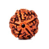 Five Faced 5 face (Panch Mukhi) Natural Rudraksha Bead for Men and Women - halfrate.in