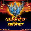 Shri Shani Dev Chalisa Book In Hindi Mini Size (Arti Sahit) + Gold Plated Shri Yantra Energized