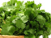 Green Coriander Seeds Mehak Dhaniya Hybrid Seeds | Organic Seeds | Home Garden seeds + Organic Manure + Pot Irrigation Drip system