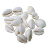 White Kawri Kodi White Cowrie Sea Shell | Laxmi and Diwali Pooja Article Koudi Shells-Set of 11