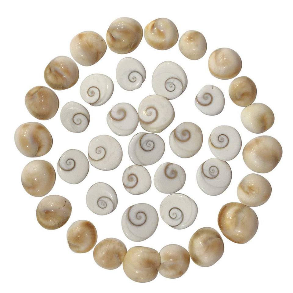 Gomti Chakra Natural Energized for Health, Wealth, Success, Puja