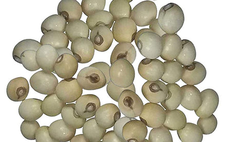 Natural 100% & Rare White Gunja, Chirmi Seeds, Swetha Gunja, Gurivanta, White Rosary Pea, Chanoti,  Latumoni - 11 pcs