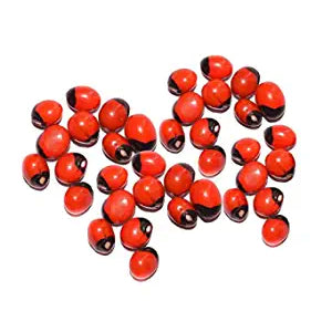 Natural 100% & Rare Mantra Siddha Laa Chirmi Red Gunja Seeds for Lakshmi Upasna Sadhna Gurivinta Seeds - 11 pcs