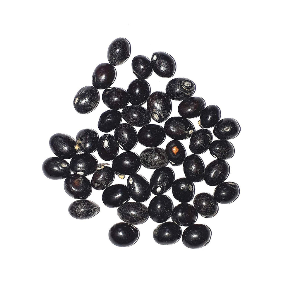 Natural 100% & Rare Mantra Siddha Pure and Original Rare Chirmi Seeds Combo :Red Gunja Black Chirmi White Gurinvida Beads Ratti Gumchi Madhuyastika - 11 each