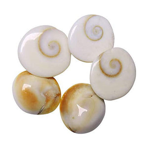 Natural 100% & Rare Mantra Siddha Pure and Original Rare Combo of White Kowari, Kamal gatta, Gomti Chakra, Black gunja (Set of 5 Pcs)