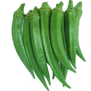 Ladyfinger Pratigya Bhindi Okra Hybrid | Organic Seeds | Home Garden seeds + Organic Manure + Pot Irrigation Drip system