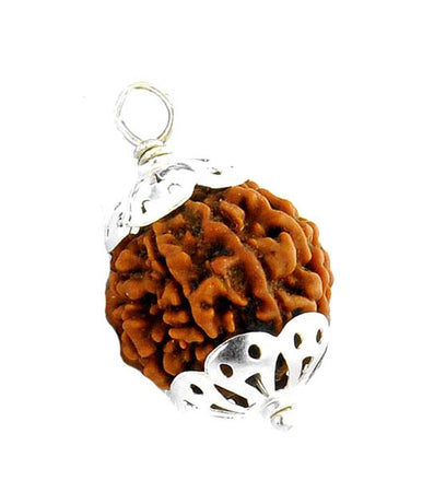 Original Panch Mukhi (five Faced) Rudraksh Pendant with white metal cap