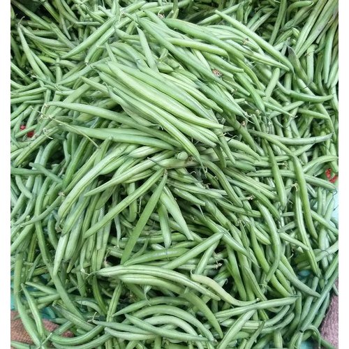 French Beans/ Green beans Hybrid | Organic Seeds | Home Garden seeds + Organic Manure + Pot Irrigation Drip system