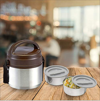 Stainless Steel Trendy Lunch Box, Set of 2, Brown