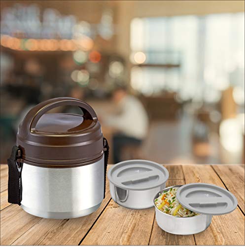 Stainless Steel Trendy Lunch Box, Set of 2, Brown