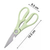 Multipurpose Stainless Steel 8 inches Kitchen / Household / Garden Scissor