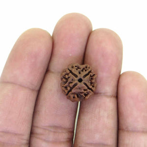 Original Four Faced (Char Mukhi) Natural Rudraksha Bead for Men and Women - halfrate.in