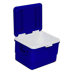 Star Insulated Chiller Ice Cooler Box, 62 Ltr for Home / Car / Picnic