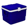 Star Insulated Chiller Ice Cooler Box, 62 Ltr for Home / Car / Picnic